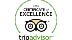 china-water-tripadvisor-certificate-of-excellence